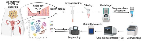 An illustration of research of PCOS