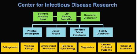 CID organization plan