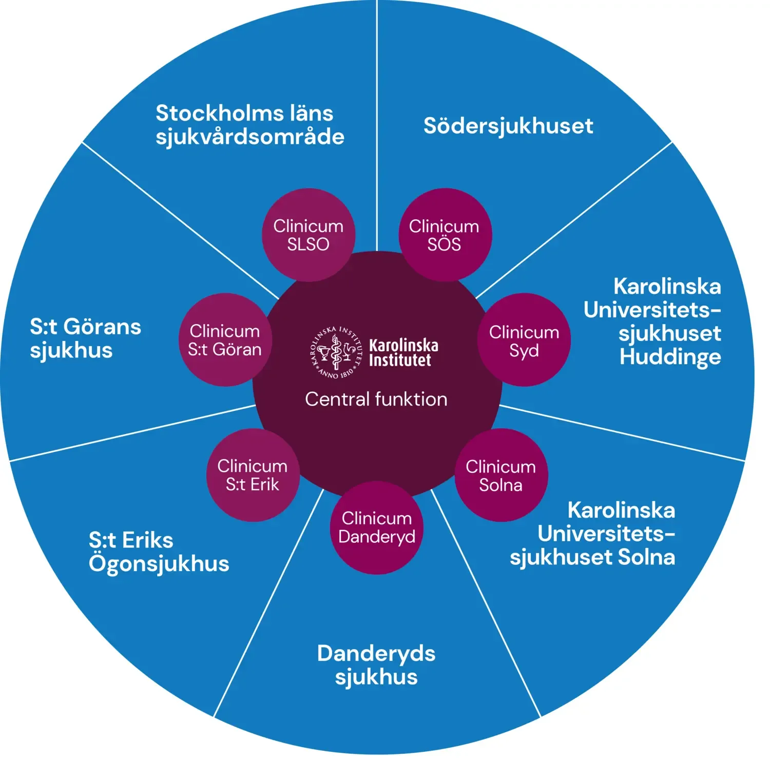 Grafik som beskriver Clinicums modell