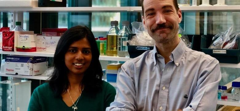 Två forskare i labbet.