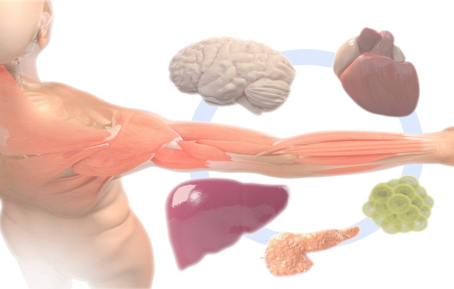 graphic illustration of ruas lab research focus