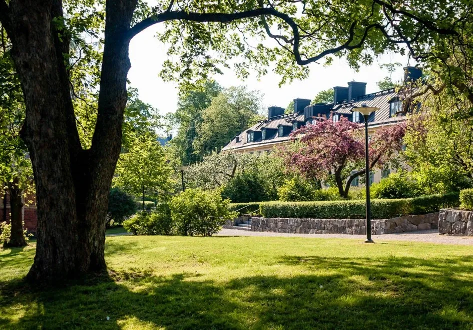 Park in Stockholm during summer