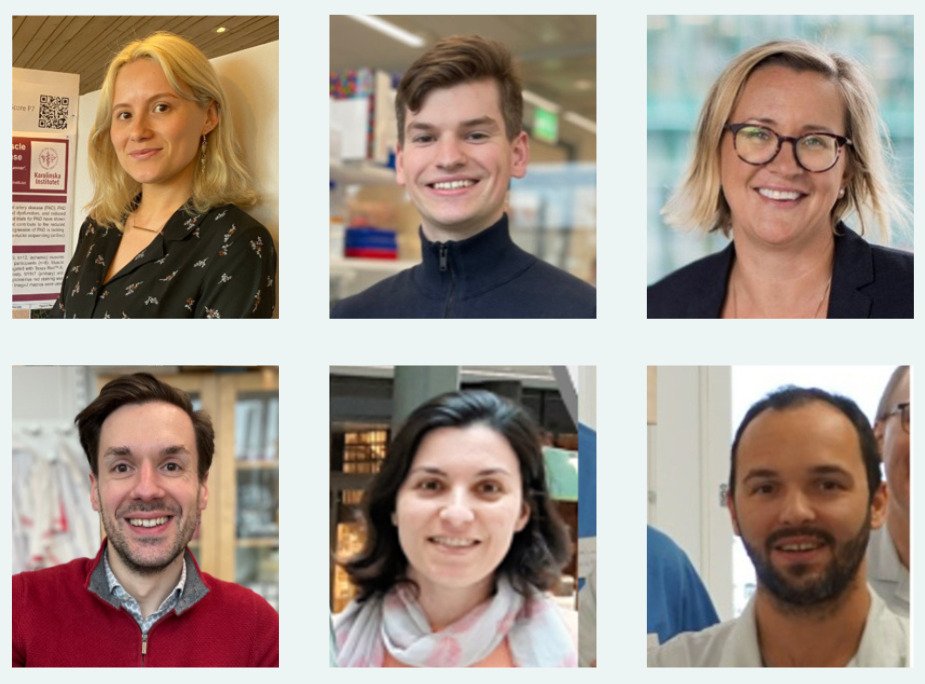 collage av personer, tre män och tre kvinnor