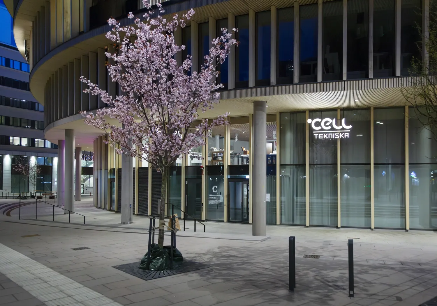 The Cell är en mötesplats för konst och vetenskap. Verksamheten drivs av Tekniska museet med Karolinska Institutet som kunskapspartner.