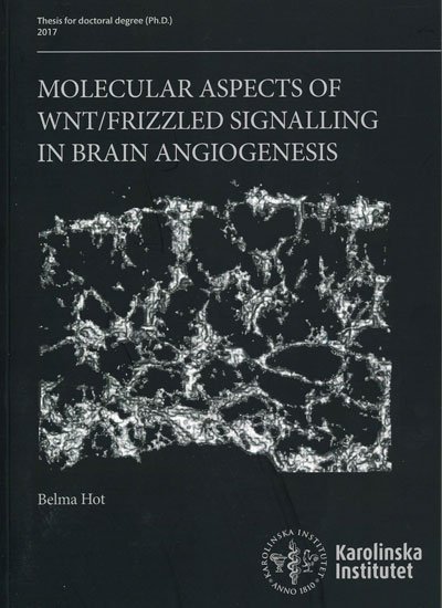 doctoral thesis covers