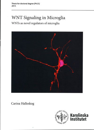 doctoral thesis covers