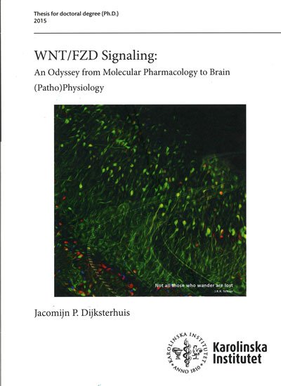 doctoral thesis covers