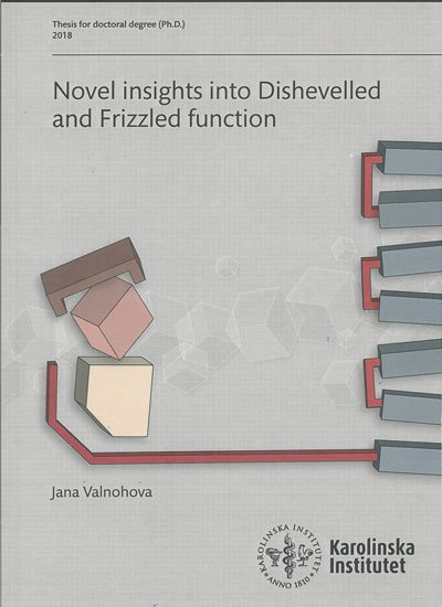 doctoral thesis covers