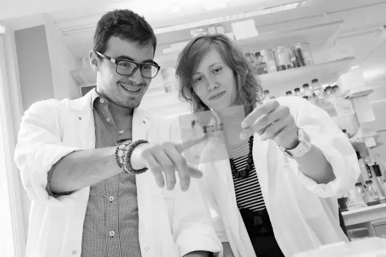 Two researchers in a lab