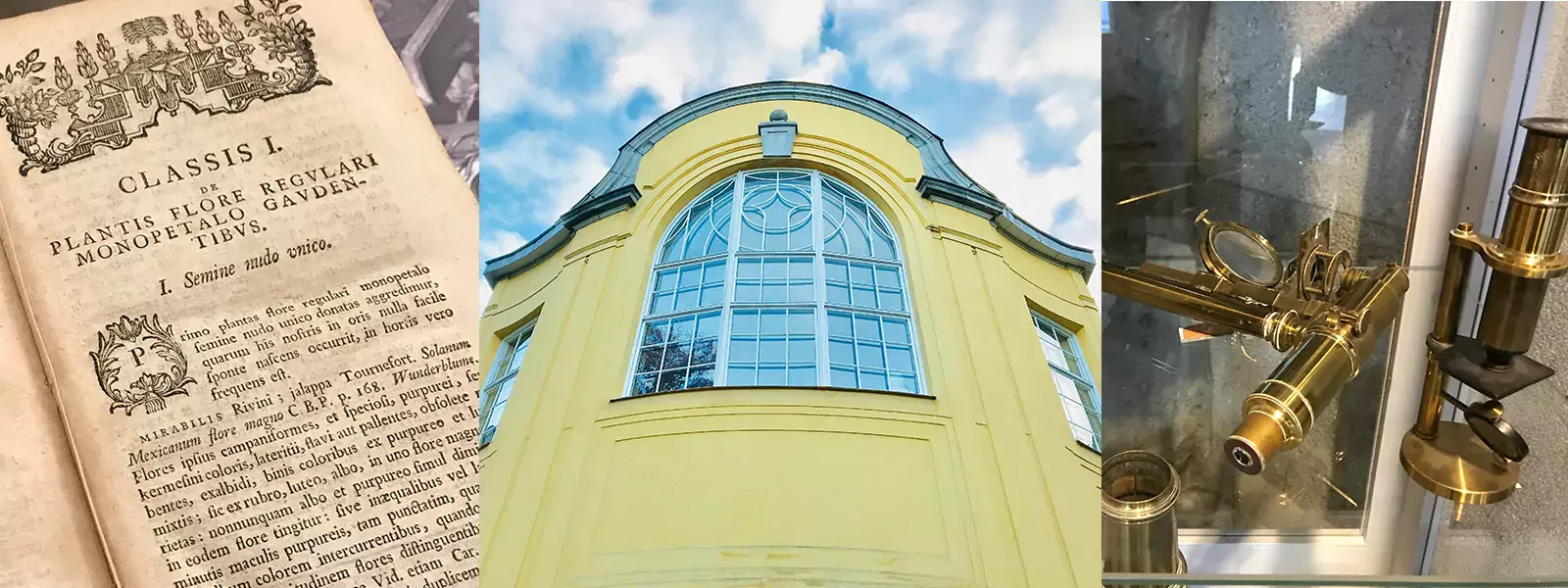 Karolinska Institutets historia är till stor del den svenska läkekonstens historia