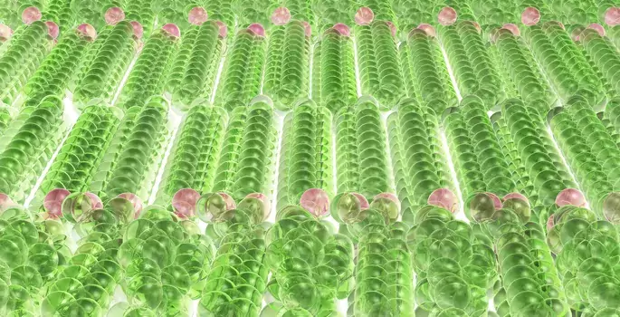 Image of long chains of green balls represent hydrocarbon chains