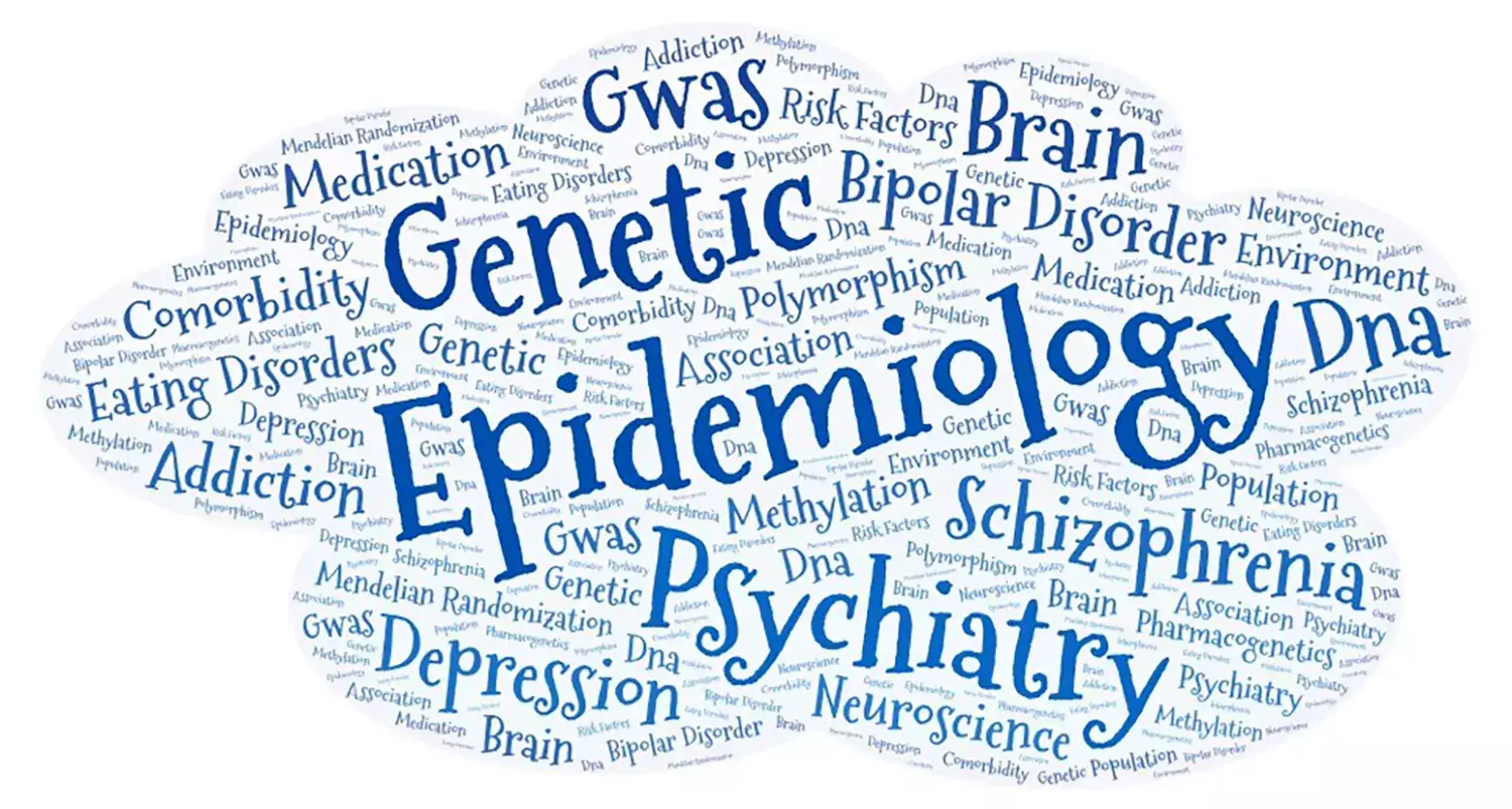 Sarah Bergen's research described with the help of a word cloud