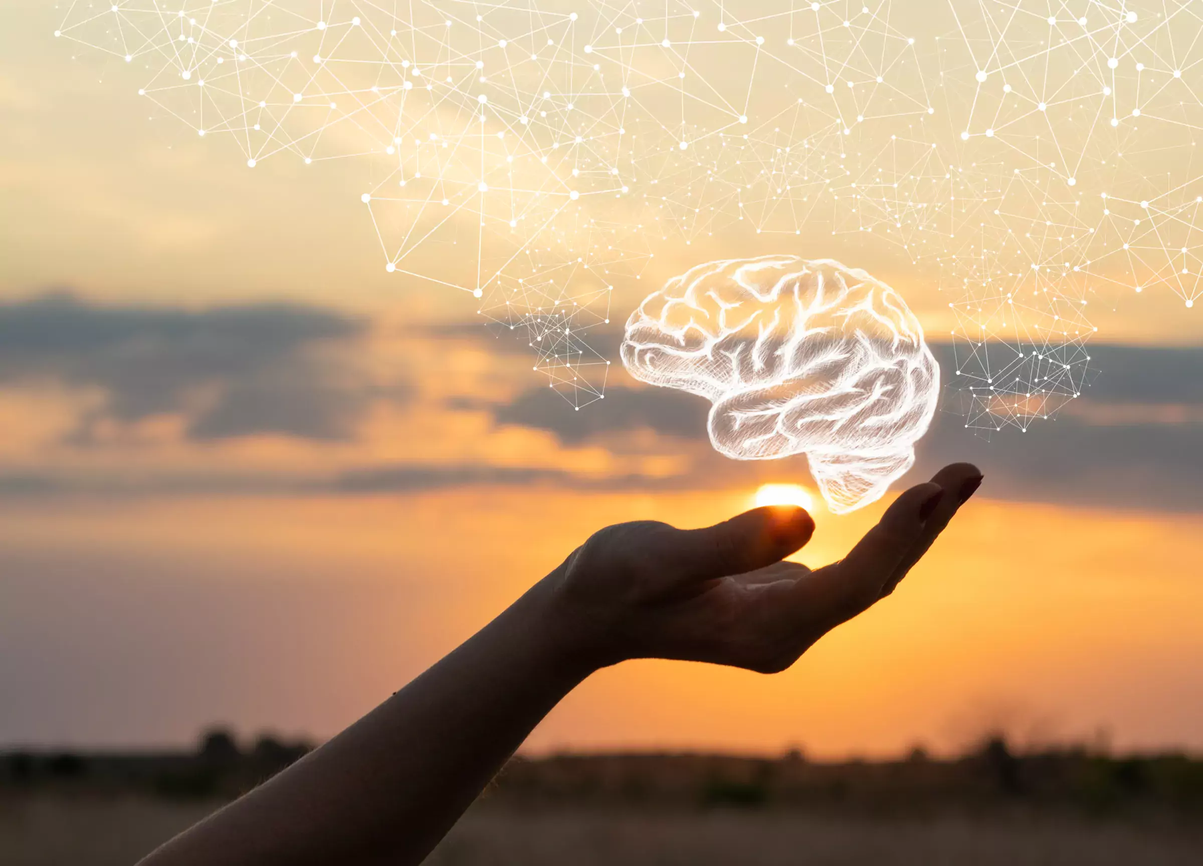 Illustration of hand holding a human brain.