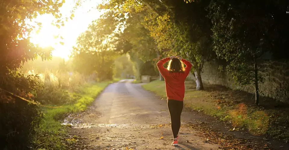 Bild på kvinna bakifrån som promenerar på en skogsväg i motljus.