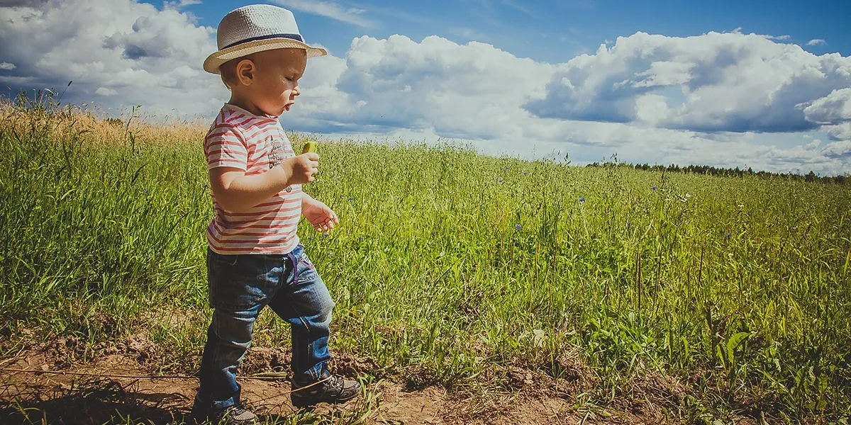 Systemtoxikologi Alenius