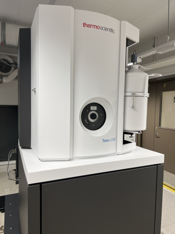 Photo-Talos primarily used to collect 2D-images of specimens at room temperature (plastic embedded or negatively stained).