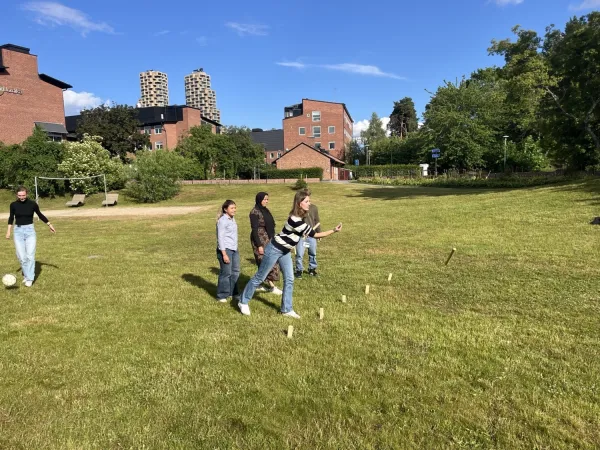 Picnic at Solna Campus