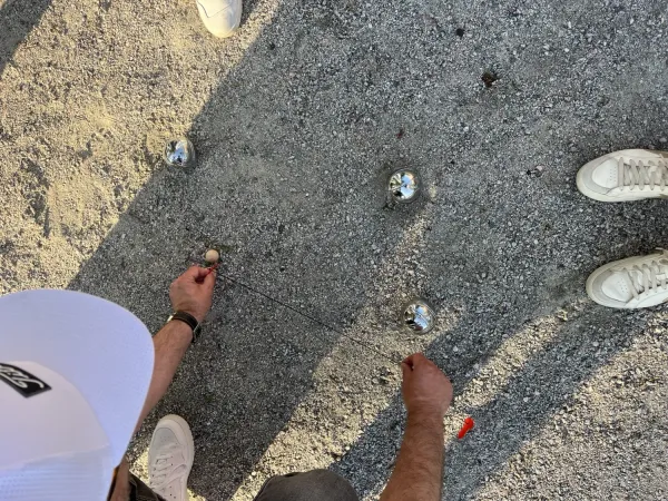 Picnic at Solna Campus