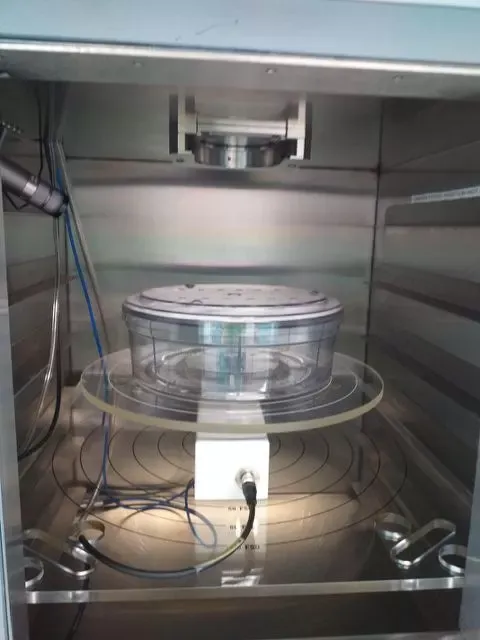 X-ray at Comparative Medicine.