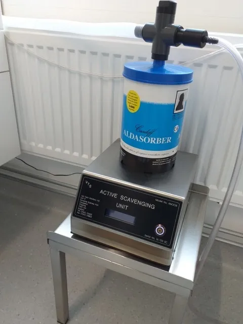 X-ray at Comparative Medicine.