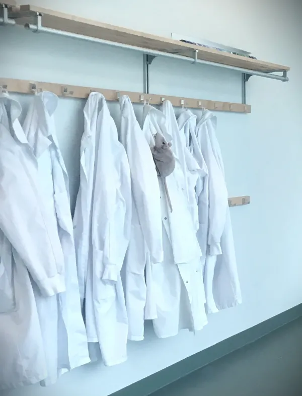 Labbrockar hänger på krokar och det är ett mjukisdjur i form av en råtta på en av rockarna.