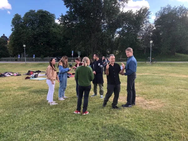 Picknick i Hagaparken