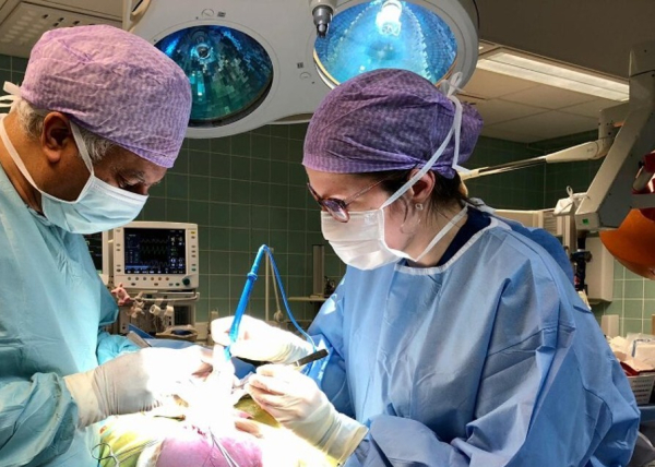 Experimentell och klinisk forskning, enheten för obstetrik och gynekologi.
