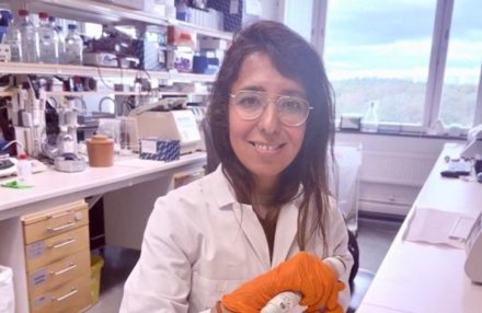 Piture showing a researcher in a lab