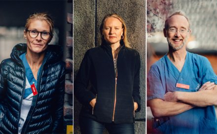 Photo montage with the three researchers named in the caption.