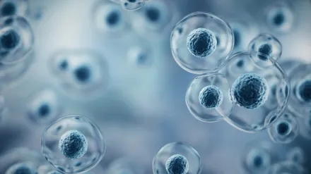 Illustration of stem cells