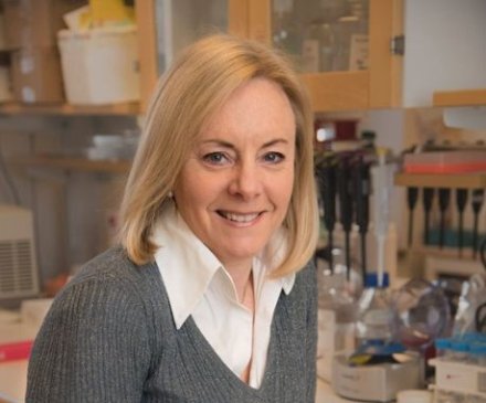 portrait in lab environment