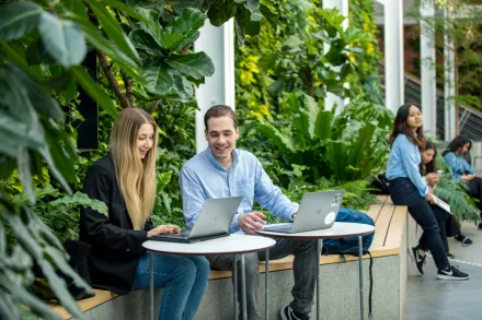 Studenter som pluggar