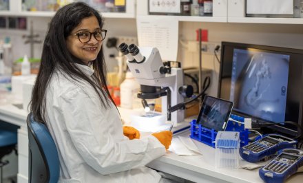 Lab environment in Neo, Flemingsberg