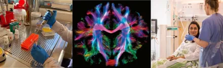 Photo collage of pricision medicine