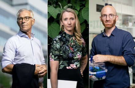 Montage of portraits of three researchers.