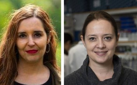 StratNeuro New Technologies