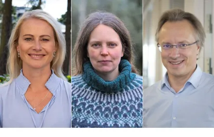 Three portraits