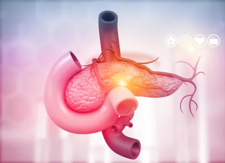 Anatomy of pancreas. 3d illustration
