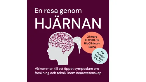 En resa genom hjärnan 2026