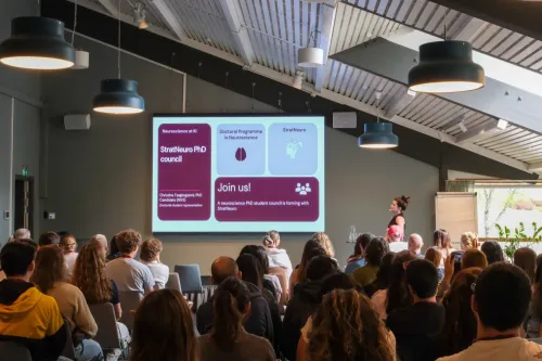 Audience attending a presentation
