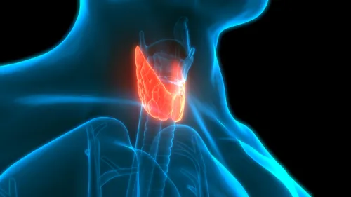 3D illustration of thyroid gland anatomy.