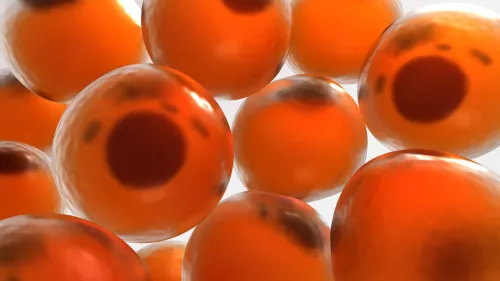 3d rendered close-up illustration of human fat cells.