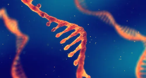 Illustration of a single-stranded RNA molecule with protruding structures.