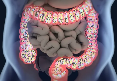 3D illustration of bacteria inside the large intestine.